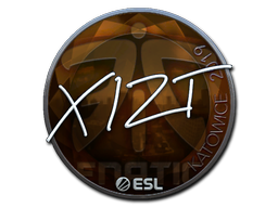 Sticker Xizt Foil Katowice Csgo Database